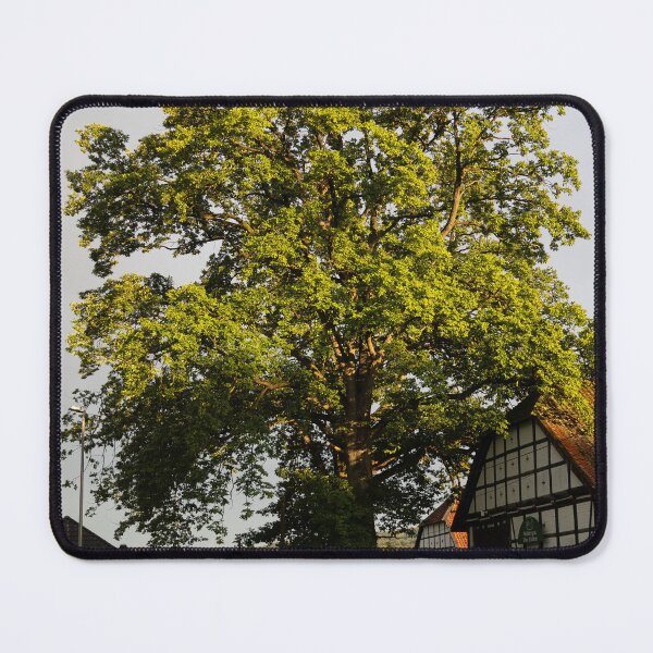 Item preview, Oak designed and sold by Calidris Fotografie Steffi & Ben Köppler.