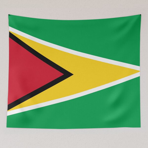Item preview, National Flag Co-operative Republic of Guyana designed and sold by Danler.