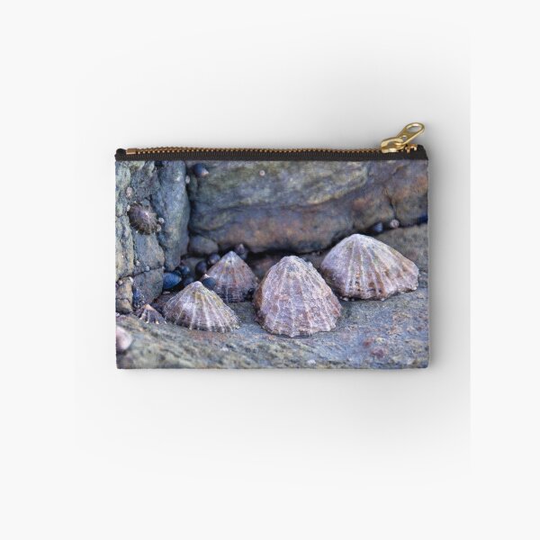 Item preview, Limpets (Patella vulgata) designed and sold by jasminewang.