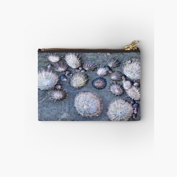 Item preview, Limpets (Patella vulgata) designed and sold by jasminewang.