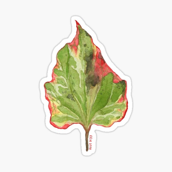 Watercolor Leaf Sticker