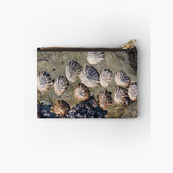 Item preview, Limpets (Patella vulgata) designed and sold by jasminewang.