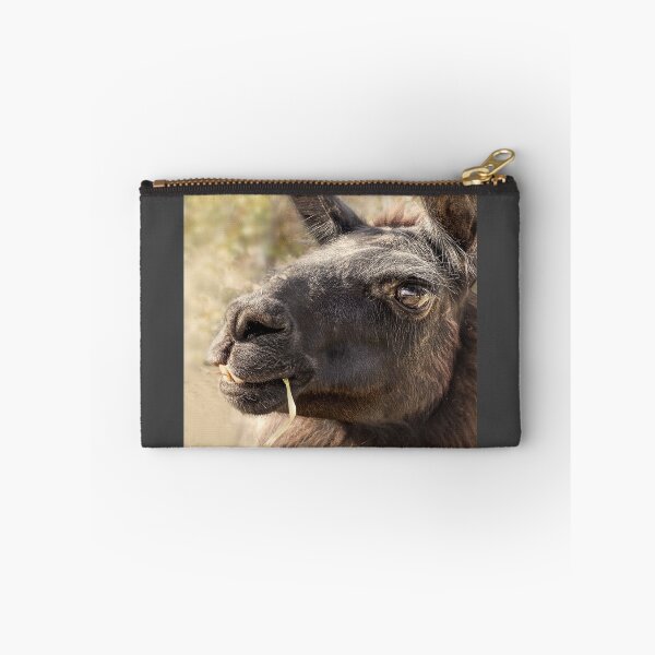 Item preview, Smiling Llama photograph designed and sold by art64.