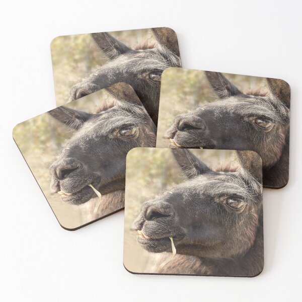 Item preview, Smiling Llama photograph designed and sold by art64.