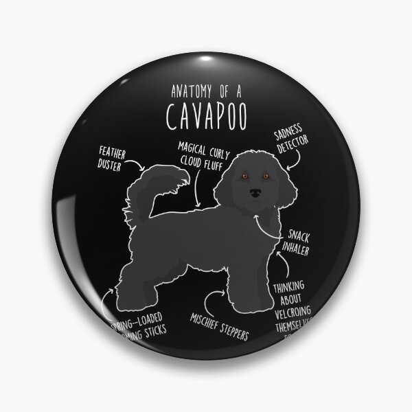Item preview, Black Cavapoo Dog Anatomy designed and sold by Clara Hollins.