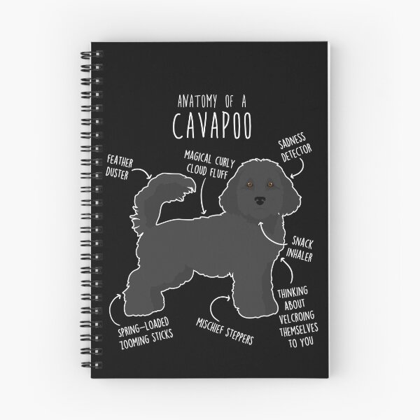 Item preview, Black Cavapoo Dog Anatomy designed and sold by Clara Hollins.