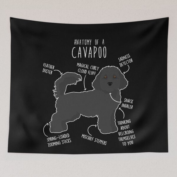 Item preview, Black Cavapoo Dog Anatomy designed and sold by Clara Hollins.