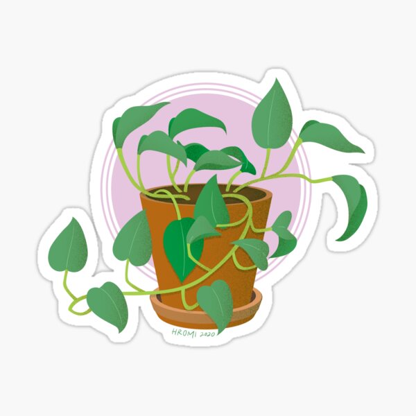 Pothos Houseplant Illustration Sticker