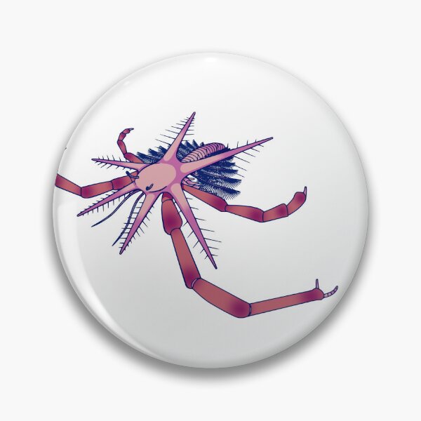 Item preview, Mimetaster hexagonalis designed and sold by PaleoInvert.