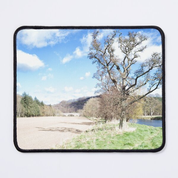 Item preview, Tree next to the River Tweed, upstream of the old Tweed Bridge and the confluence with the Ettrick Water, Scottish Borders designed and sold by Iain MacLean.