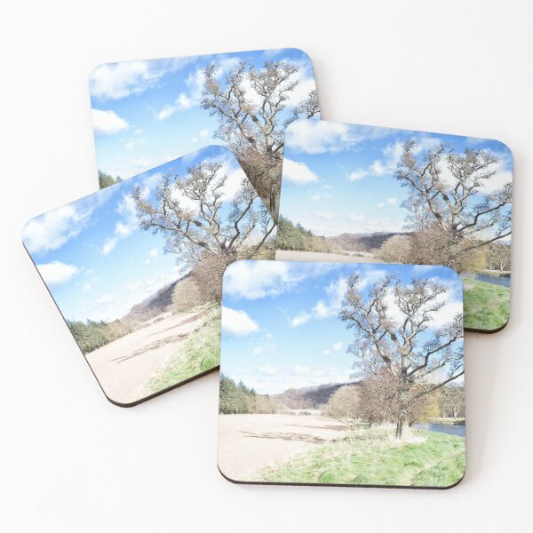 Item preview, Tree next to the River Tweed, upstream of the old Tweed Bridge and the confluence with the Ettrick Water, Scottish Borders designed and sold by Iain MacLean.