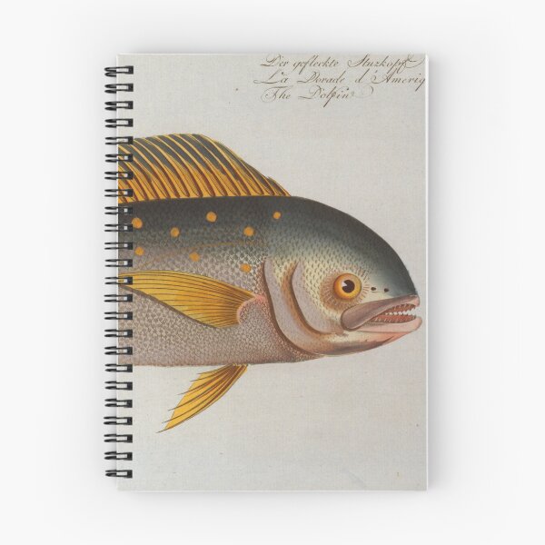 Item preview, Vintage Dolphinfish Illustration (1785) designed and sold by BravuraMedia.