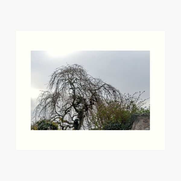 Item preview, An Old Favourite.........  designed and sold by lynn carter.