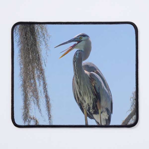 Item preview, Great Blue Heron with open mouth designed and sold by Zina Stromberg.