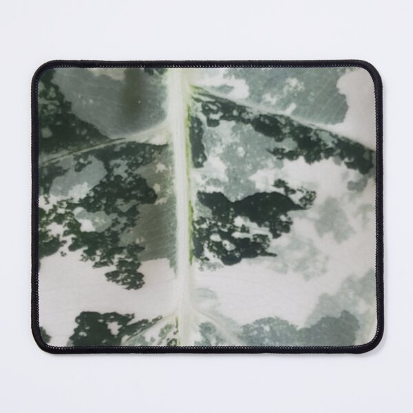 Item preview, Frydek White designed and sold by AroidIsland.