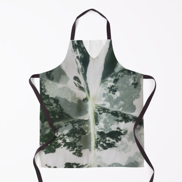 Item preview, Frydek White designed and sold by AroidIsland.