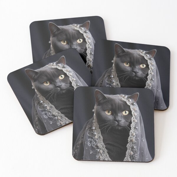 Artikelvorschau, Stilvolles schwarzes Britisch Kurzhaar entworfen und verkauft von Nocturne  Paws.