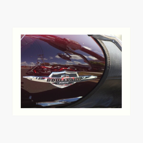 Suzuki Art Print