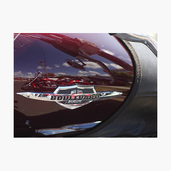 Suzuki Photographic Print