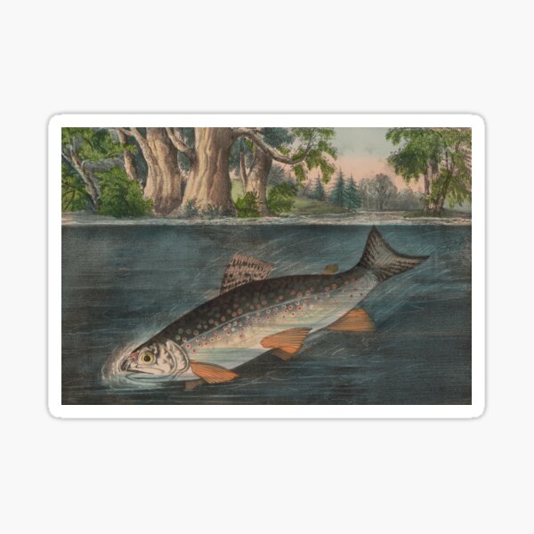 Item preview, Vintage Illustration of a Hooked Brook Trout (1874) designed and sold by BravuraMedia.