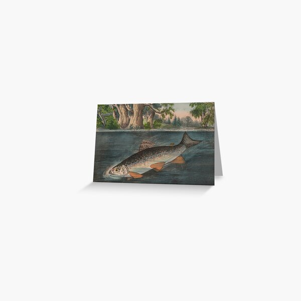 Item preview, Vintage Illustration of a Hooked Brook Trout (1874) designed and sold by BravuraMedia.