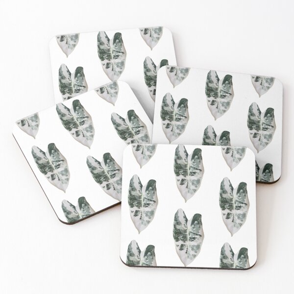 Item preview, Frydek White designed and sold by AroidIsland.