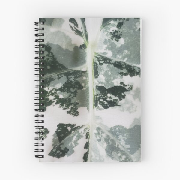 Item preview, Frydek White designed and sold by AroidIsland.