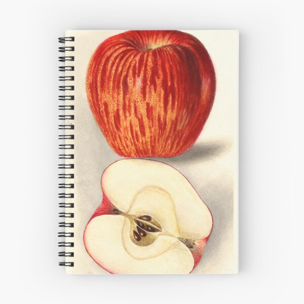 Item preview, Vintage Illustration of a Sliced Apple  designed and sold by BravuraMedia.