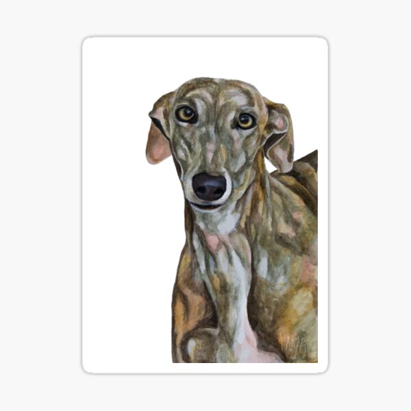 Greyhound - Galgo Espanol Sticker