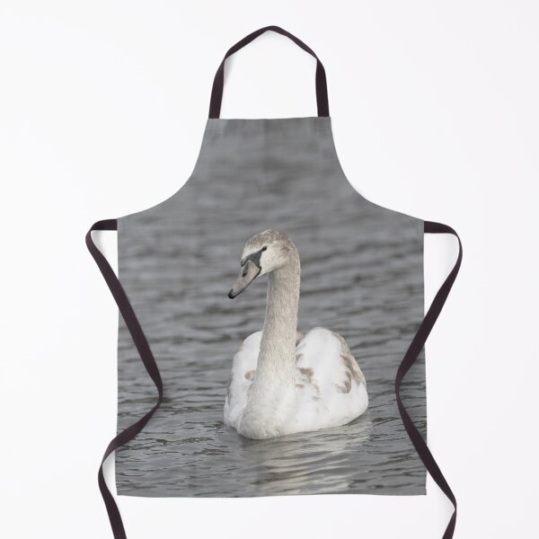 Item preview, a young mute swanonthe water designed and sold by Ronenvief.