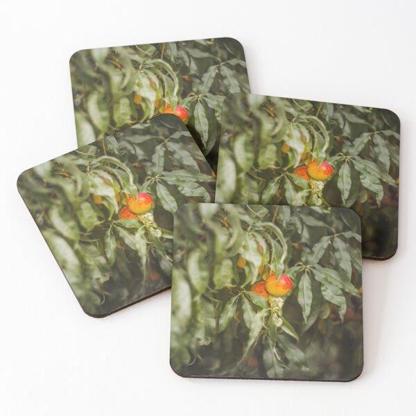 Item preview, Sweet organic nectarines on tree in big garden designed and sold by Evgeniia Biriukova.
