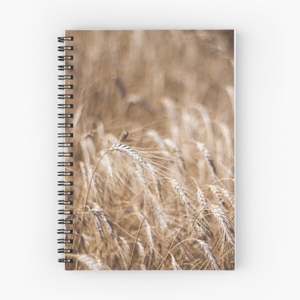 Item preview, Selective focus of wheat field on the background close up designed and sold by Evgeniia Biriukova.