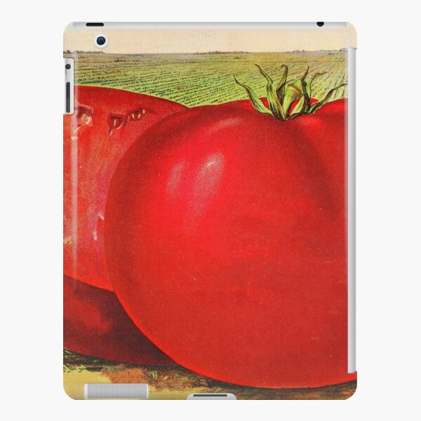Vintage Illustration of a Beefsteak Tomato (1905) iPad Snap Case