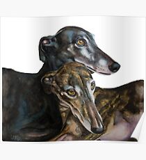 Greyhounds - Galgos Espanol Poster