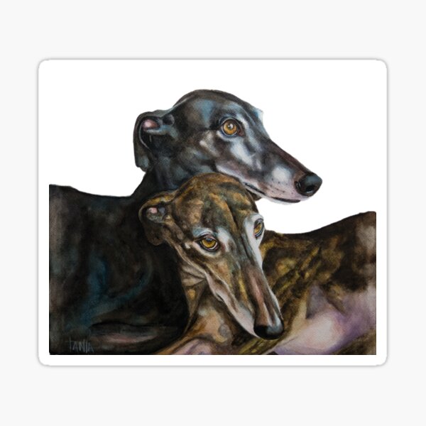 Greyhounds - Galgos Espanol Sticker