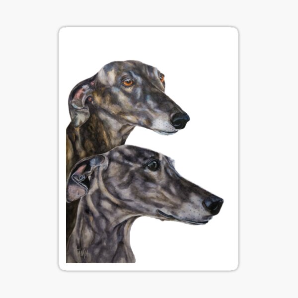 Greyhounds - Galgos Espanol Sticker