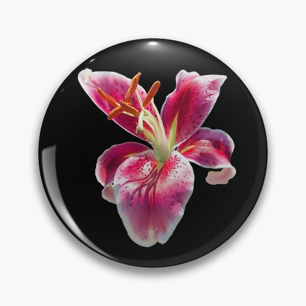 Artikelvorschau, Stargazer Lily entworfen und verkauft von Chris Glasoe.
