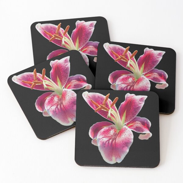 Item preview, Stargazer Lily designed and sold by Chris Glasoe.