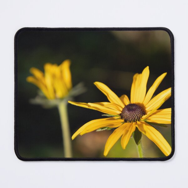 Item preview, Black-eyed Susan designed and sold by Calidris Fotografie Steffi & Ben Köppler.