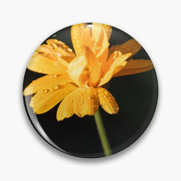 Item preview, common marigold designed and sold by Calidris Fotografie Steffi & Ben Köppler.