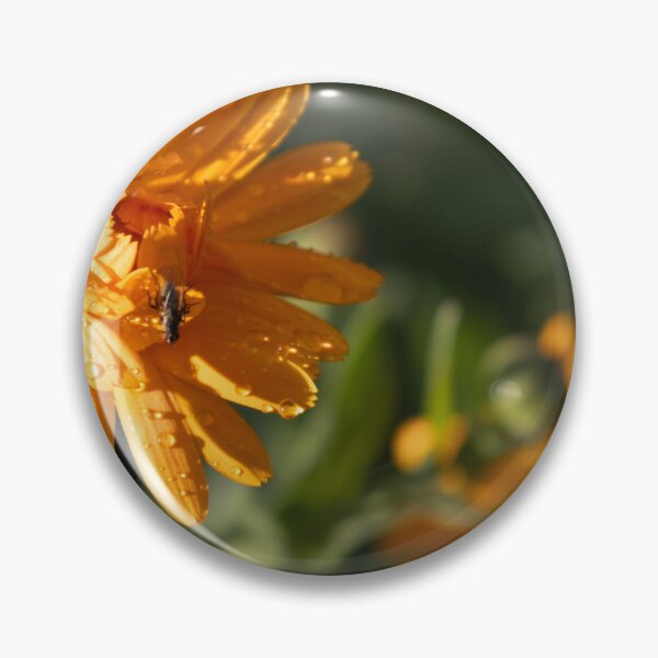 Item preview, Common Marigold designed and sold by Calidris Fotografie Steffi & Ben Köppler.