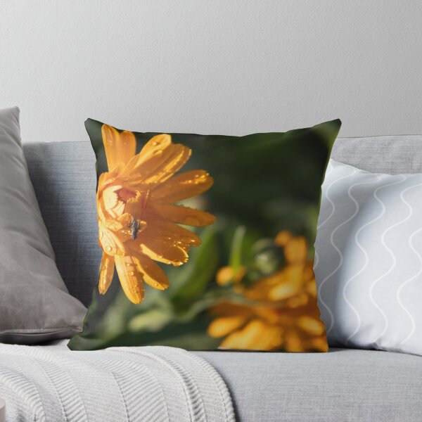 Item preview, Common Marigold designed and sold by Calidris Fotografie Steffi & Ben Köppler.