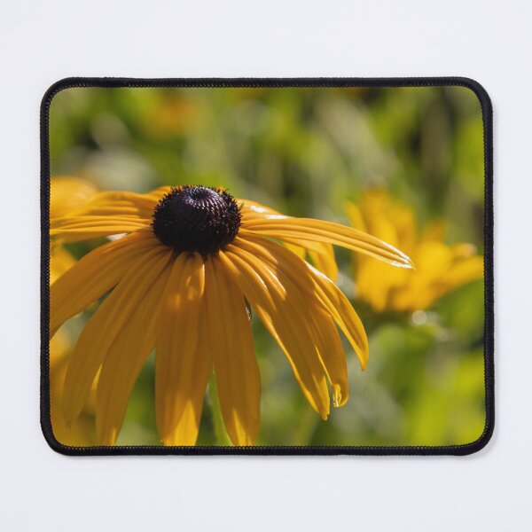 Item preview, Black-eyed Susan designed and sold by Calidris Fotografie Steffi & Ben Köppler.