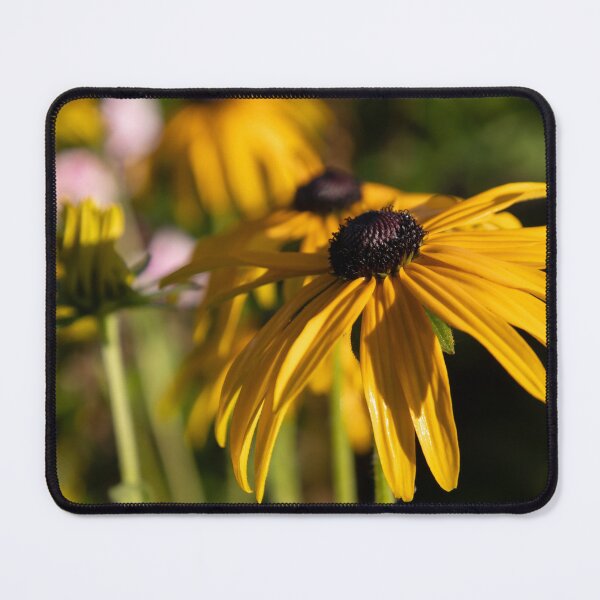 Item preview, Black-eyed Susan designed and sold by Calidris Fotografie Steffi & Ben Köppler.
