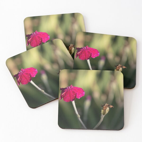 Item preview, Rose Campion designed and sold by Calidris Fotografie Steffi & Ben Köppler.