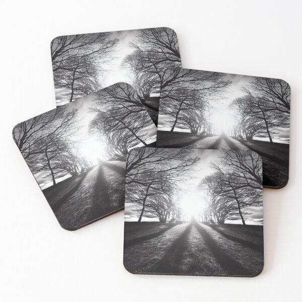 Item preview, Monochrome Majesty: Sun Through Trees designed and sold by vk09.