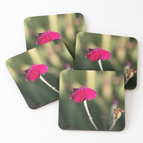 Item preview, Rose Campion designed and sold by Calidris Fotografie Steffi & Ben Köppler.