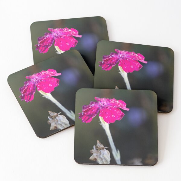 Item preview, Rose Campion designed and sold by Calidris Fotografie Steffi & Ben Köppler.