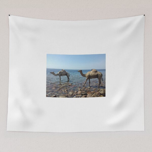 Item preview, Camels are in the Red Sea, Dahab, Egypt designed and sold by Osama-Hamdi.