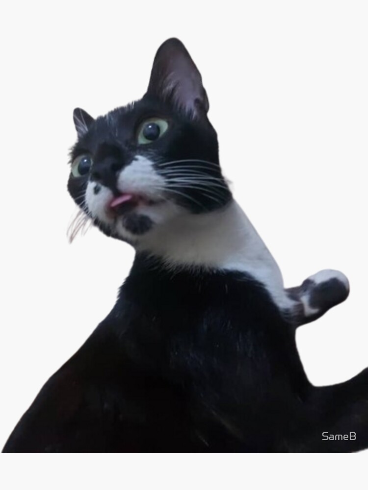 &ldquo;Best cat meme&rdquo; Sticker for Sale by SameB | Redbubble